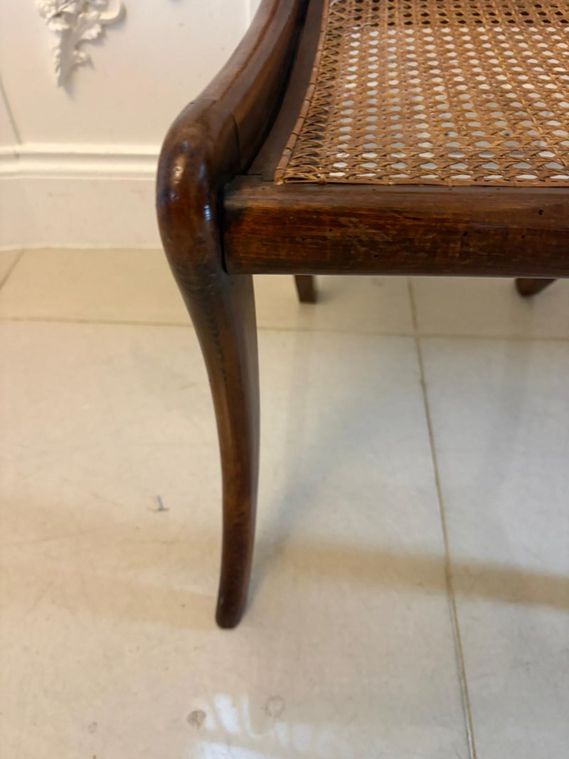 Antique Regency Mahogany Dining Chairs – Set of Six with Cane Seats, Five Singles & One Carver - Image 7